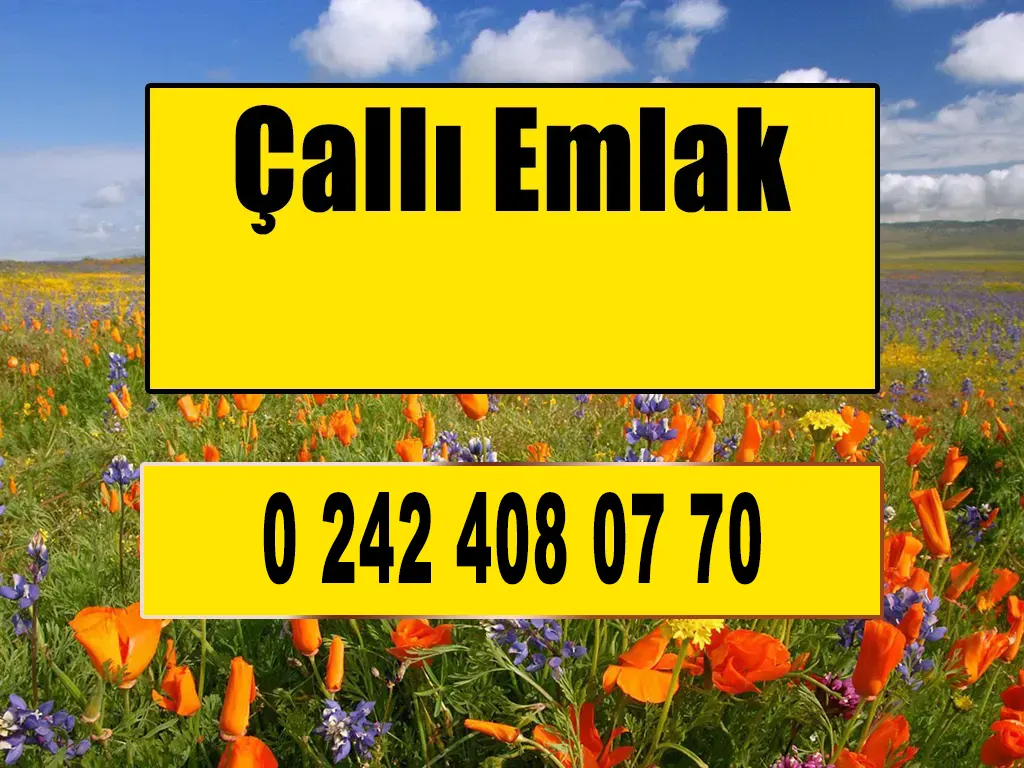 Çallı Emlak